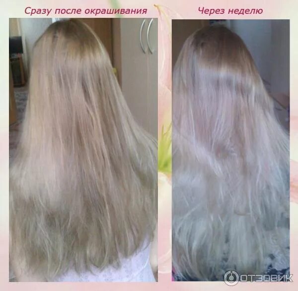 Лореаль 8.11 отзывы до и после Крем-краска для волос L`OREAL Excellience 8.11, ультрапепельный Светло-Русый, 19