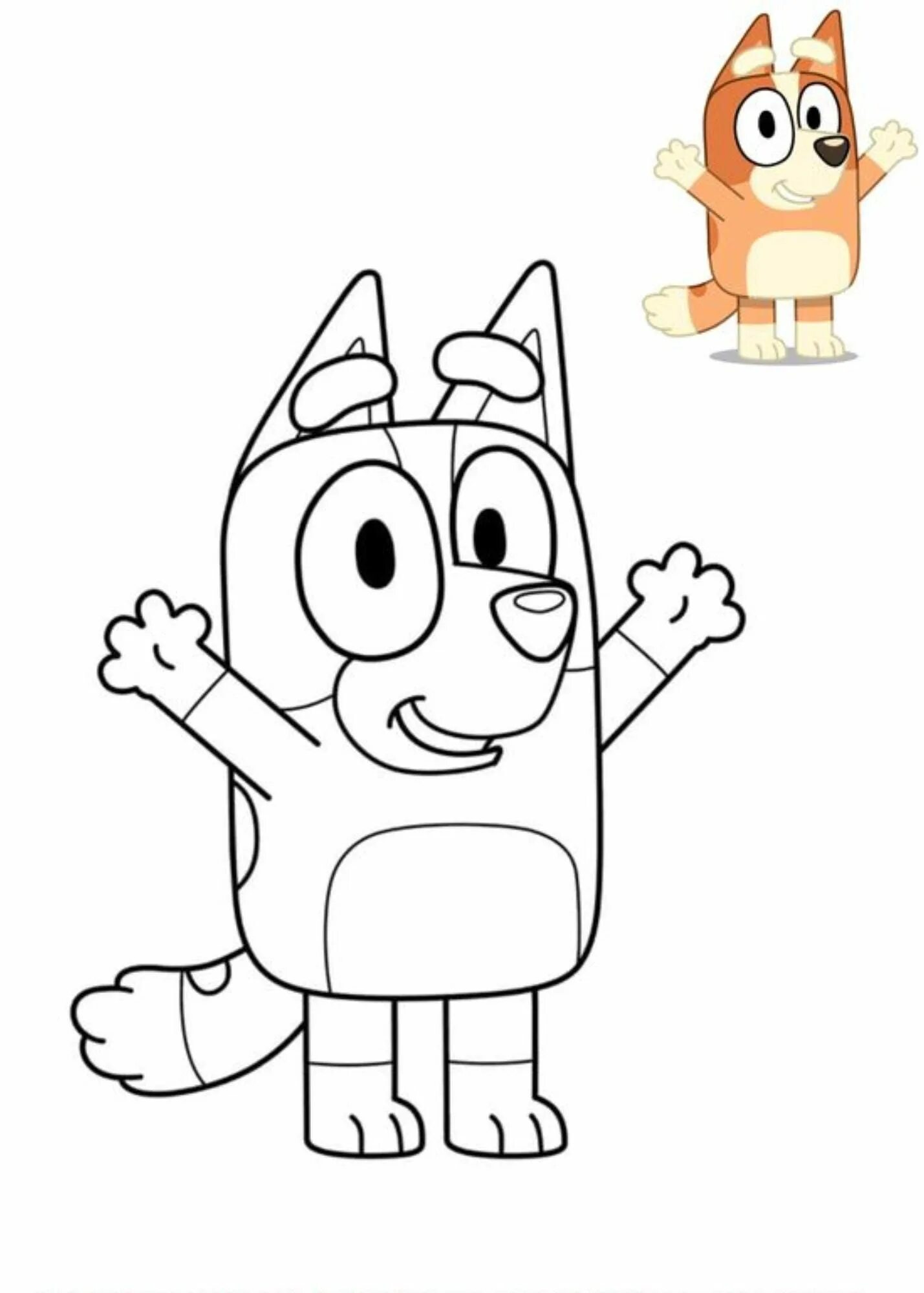 Bluey раскраска. Мопс раскраска для детей. Бинго и ролли раскраска. Блуи bluey. Раскраска бинго.