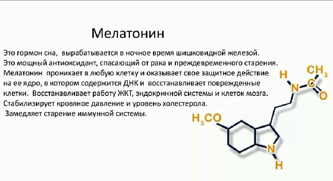 Гормоны вызывающие тревогу. Мелатонин серотонин вырабатывается. Мелатонин функции гормона. Выработка мелатонина в организме. Функции мелатонина в организме.