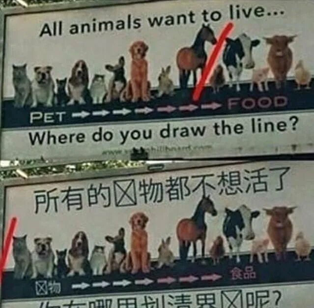 People want to live in an. All animals want to Live. All animals want to Live where do you draw the line. The animals want to Live in their natural sõzining Manosi õzbekcha.