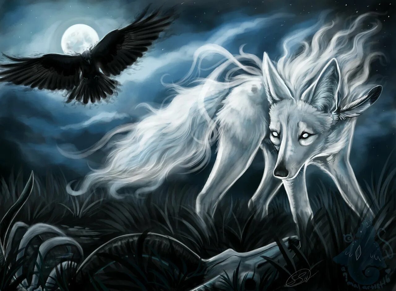Волки да вороны. Волк фэнтези. Мистические волки. Волк арт. Белый волк фэнтези.