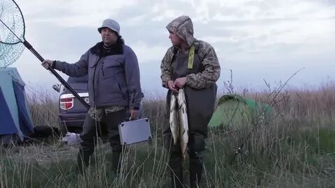 Погода в ачинерах на месяц