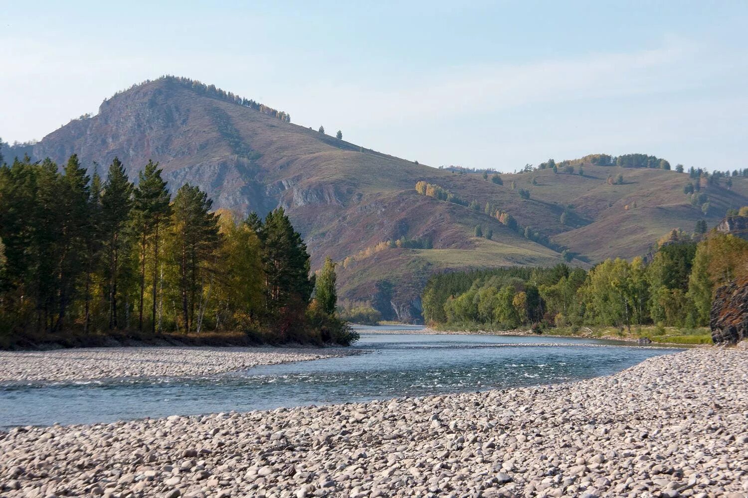 Река чарыш республика алтай. Река чарыш алтайский край. Горный чарыш алтайский край. Горный чарыш. Чарыш.