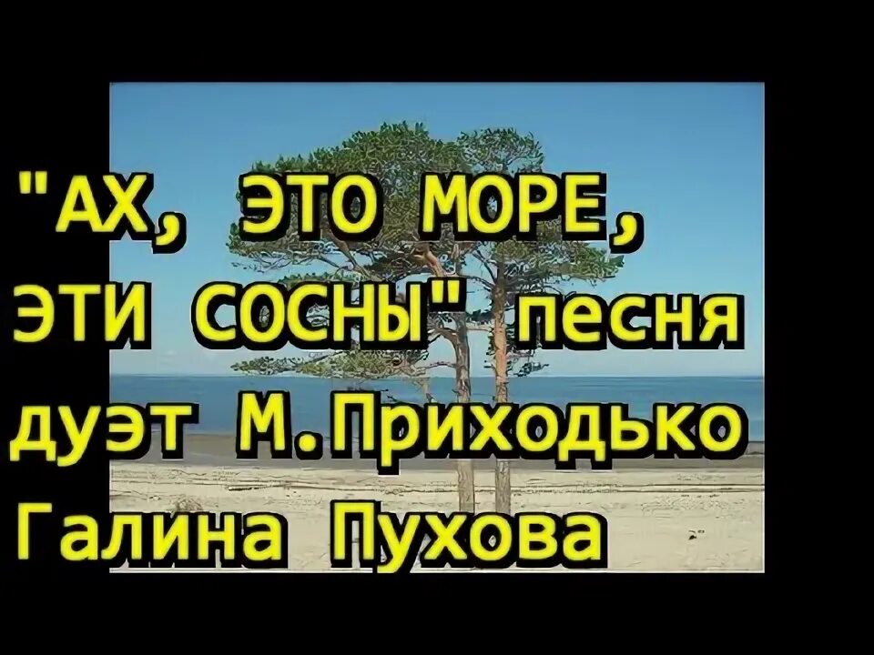 Застряли между сосен песня. Песня про сосну. Сосенки песня. Текст Ах это море эти сосны.