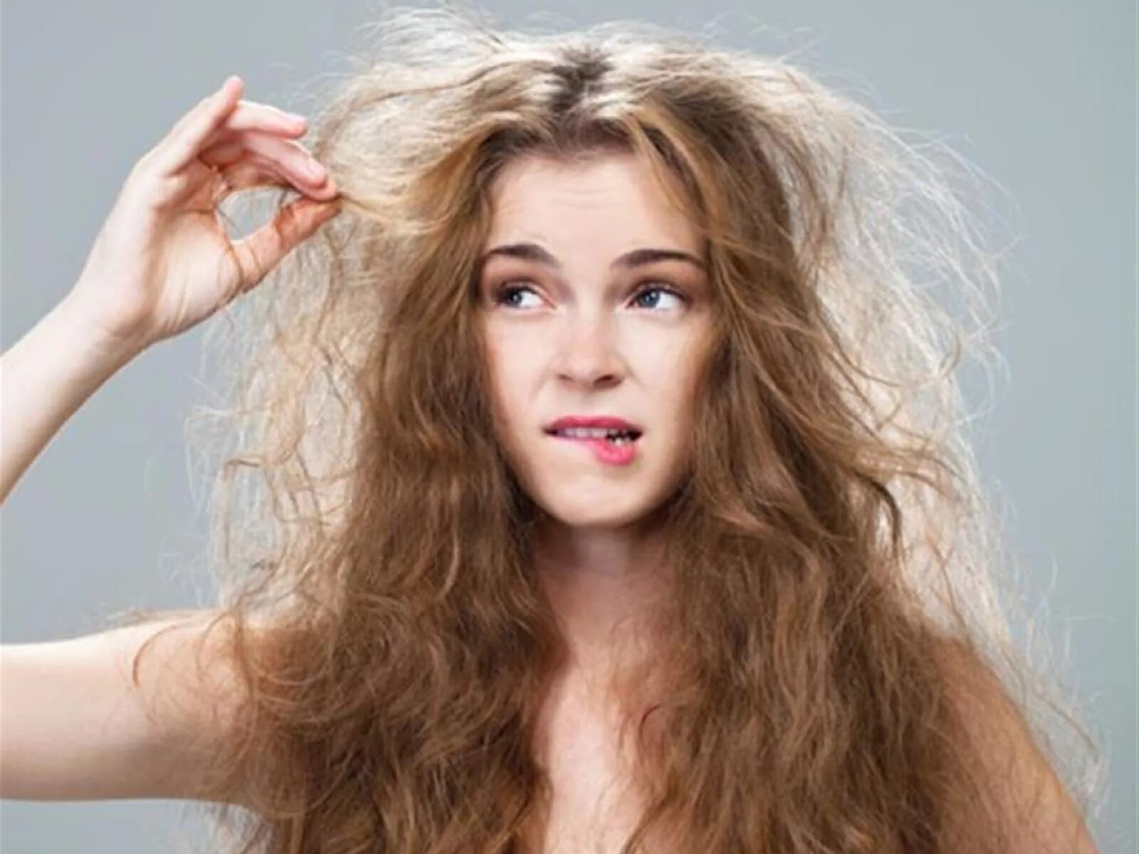 Смешанные волосы. Сухие волосы. Длинные ломкие волосы. Длинные сухие волосы. Против сухих волос.