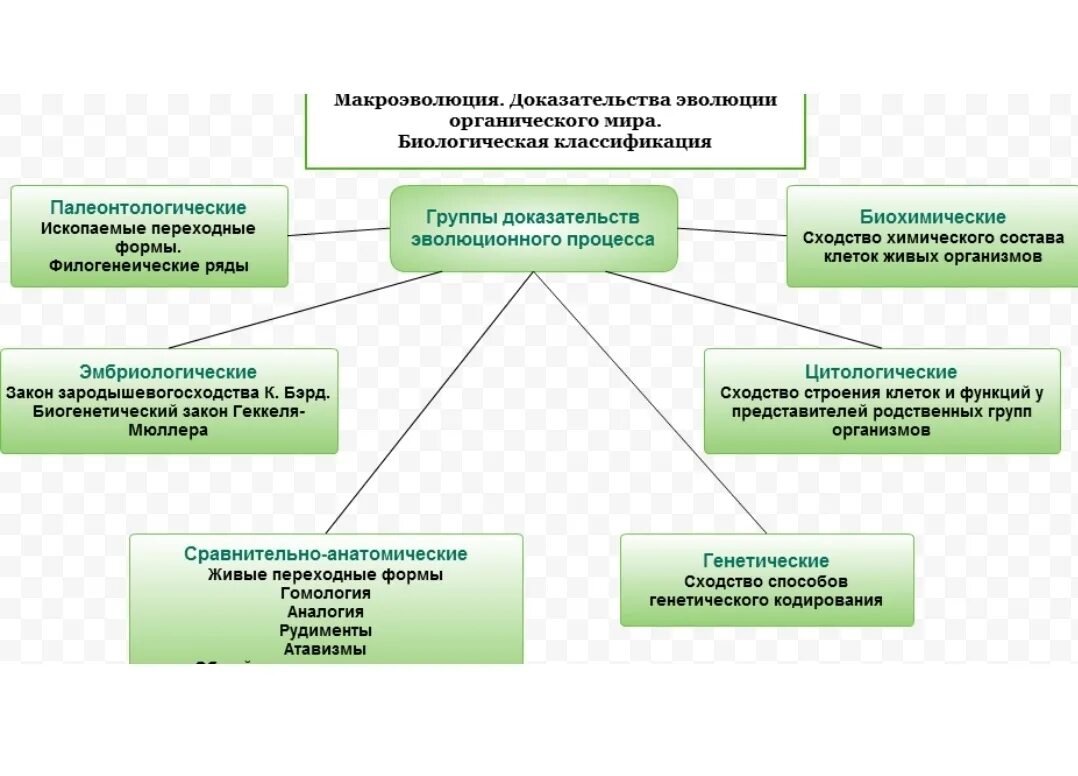 Доказательства эволюции примеры. Таблица по биологии доказательства эволюции органического мира. таблица доказательства эволюции таблица. доказательства эволюции органического мира кластер. таблица доказательства эволюции органического мира 11 класс.