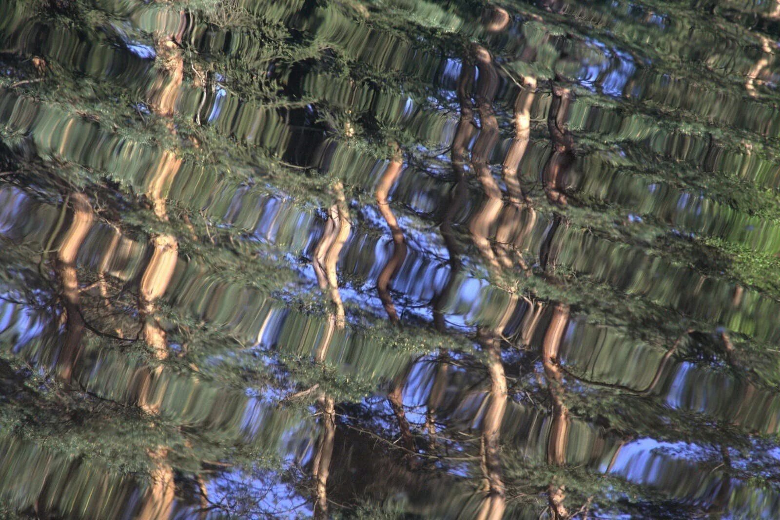 Reflection texture