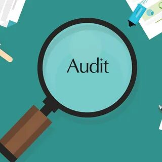 Data auditing