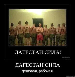 Дагестан мем