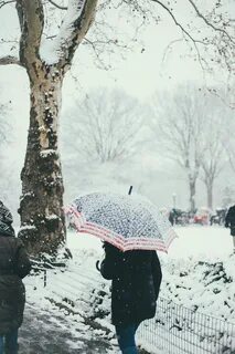 Погоду делают люди