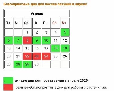 Благоприятные дни в октябре для посадки тюльпанов