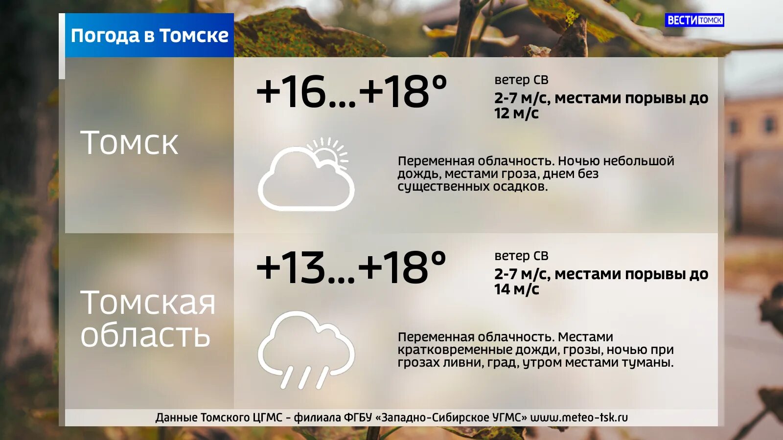 Погода в томске на неделю на 14. Погода в Томске. Погода в Томске сегодня. Погода в Томске сейчас. Погода в Томске на завтра.