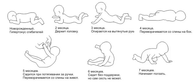 Перевороты с живота на спину во сколько. Упражнения для ползания ребенка 4 месяца. Когда ребенокнпчмнает держать голову. Когда ребенок начинает держать голов. Когдапебенок начинает держать голову.