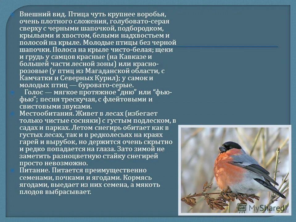 внешнее описание птицы. внешнее описание птицы. строение птицы 7 класс биология. внешний вид птицы. строение туловища голубя внешнее.
