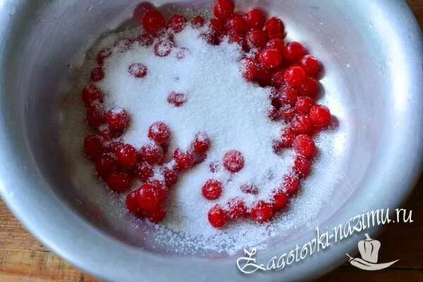 Приготовление калины с сахаром. Калина в сахаре. шефердия серебристая перетертая с сахаром.