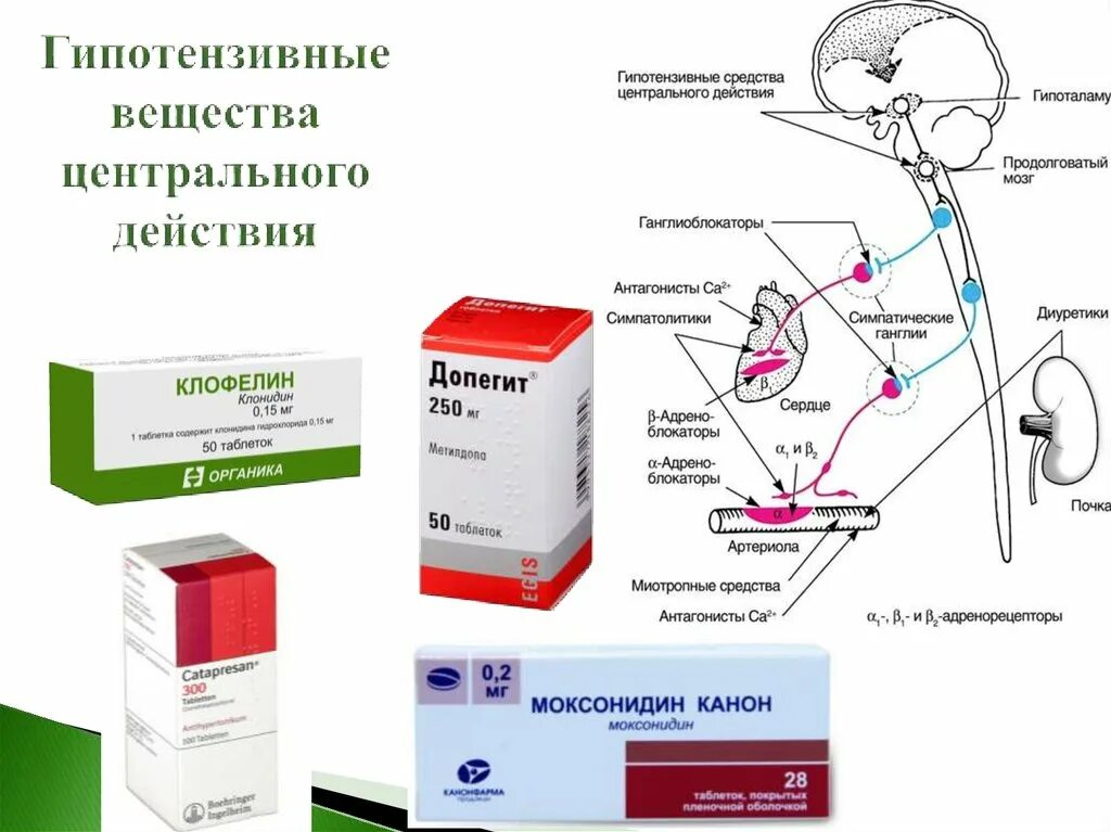 Последние гипотензивные препараты. Гипотензивное средство центрального действия список препаратов. Гипотензивный препарат 1 поколения центрального механизма действия. Нейротропные антигипертензивные средства центрального действия. Механизм действия центральных гипотензивных препаратов.