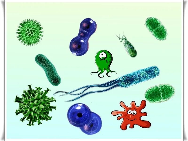 Бактерии и вирусы в воде. Микробы для детей. Строениеижизнидеятельностьбактерий. Бактерии строение и жизнедеятельность бактерий. Микробы для детей.