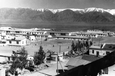 Старый кули