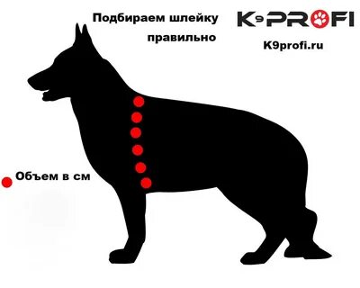 Шлейка как правильно подобрать
