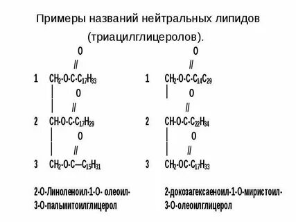 Нейтральные названия