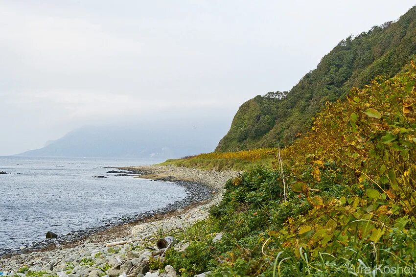 Остров кунашир природа. Мыс столбчатый кунашир. Озеро валентины кунашир. Сахалин итуруп. Курильск пляж кунашир.