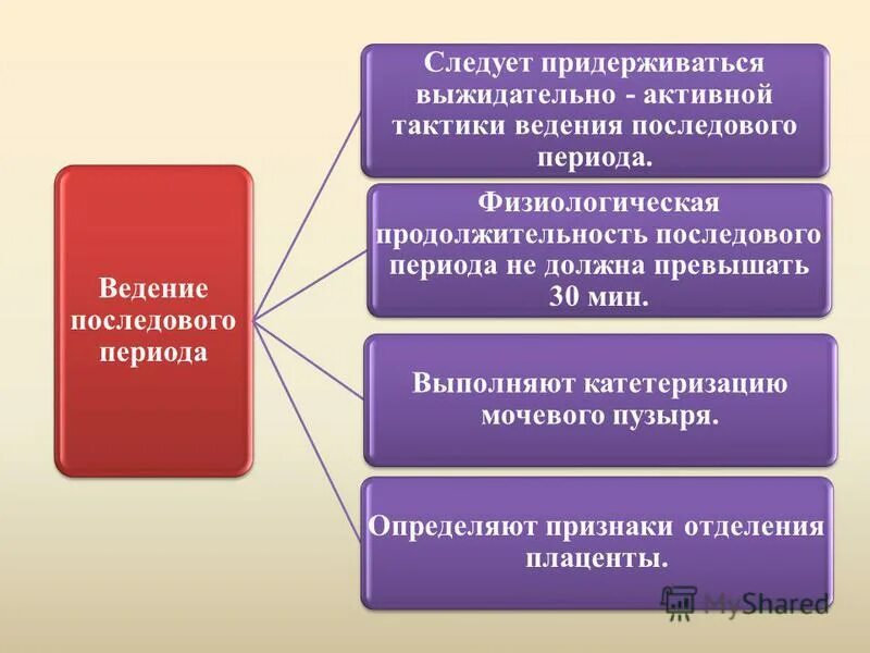 Организация безопасной среды для пациента и персонала. Подача статьи. Сущность системно-деятельностного подхода. Абсолютная и относительная рефрактерность физиология. В этот период следует.
