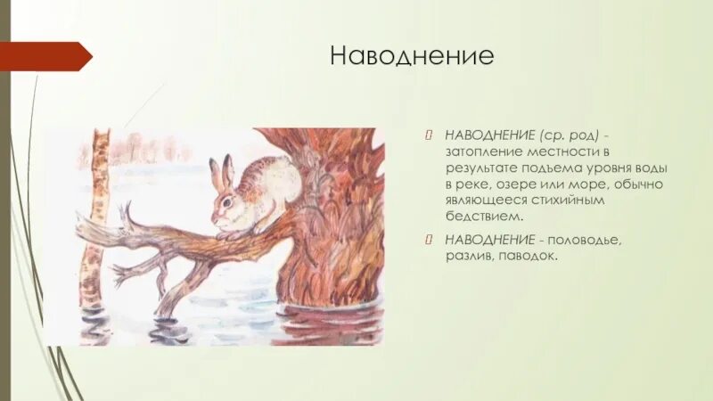Бианки наводнения. Бианки наводнения