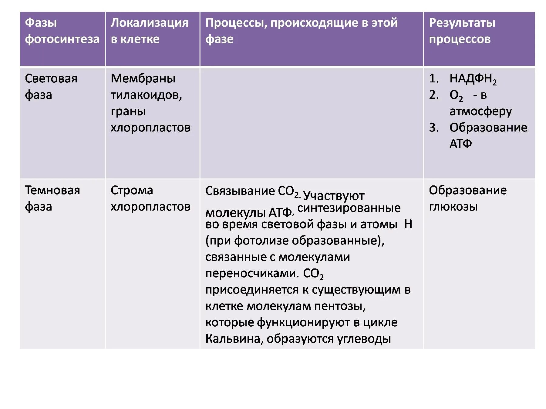 Темновая фаза фотосинтеза процессы. Процессы световой фазы фотосинтеза. Фазы фотосинтеза таблица. Параметры световая фаза темновая фаза таблица.