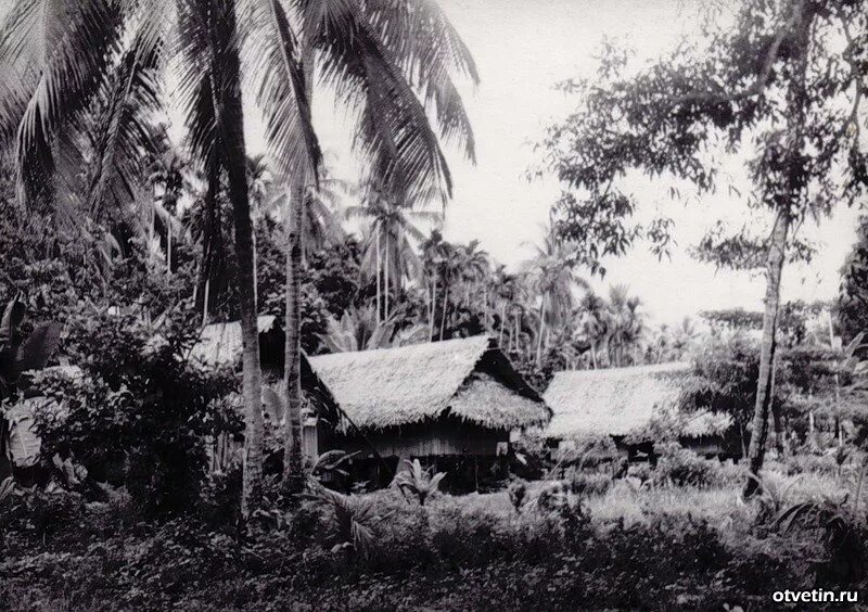 Миклухо маклай новая гвинея. Миклухо–маклай в новой гв. Миклухо маклай и папуасы. Миклухо маклай гвинея. Экспедиции н.