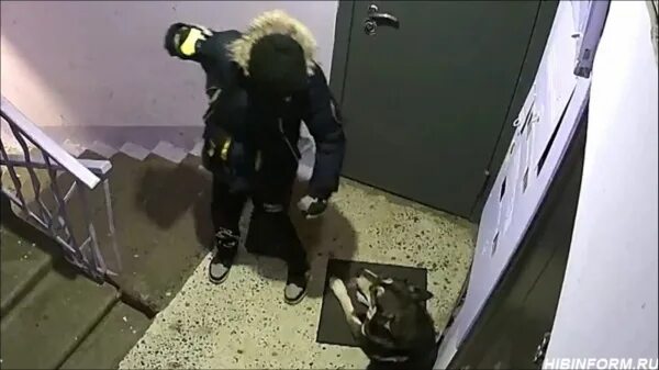 В Подъезде Видео