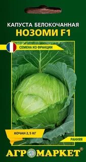 Капуста бай беларусь