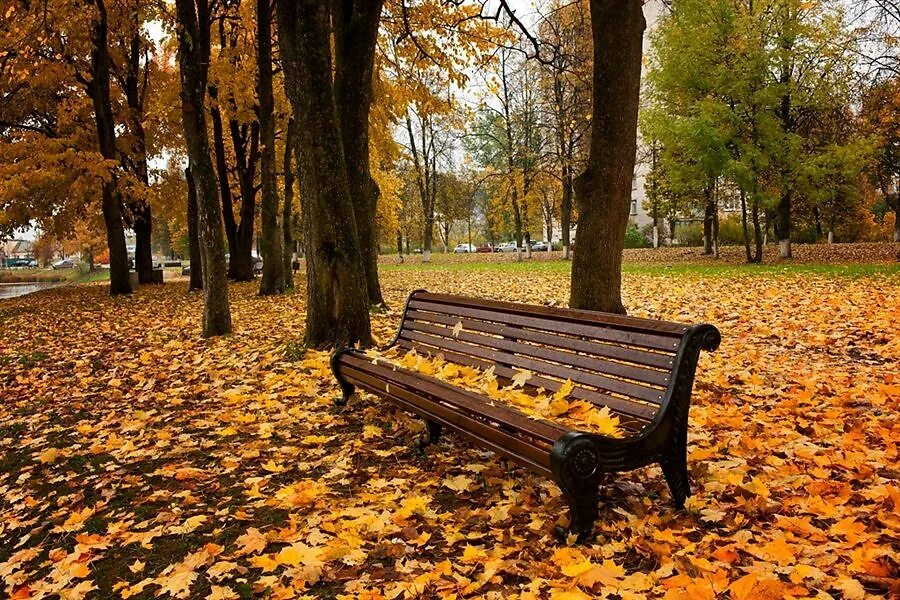 В парк пришла осень. Осень наступила. Сентябрь скамейка осень. Осень жизни. Осень в парке наступила.