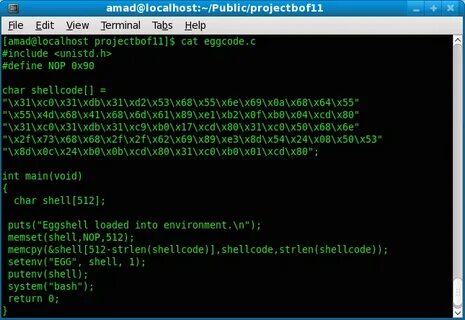 Bash environment variable