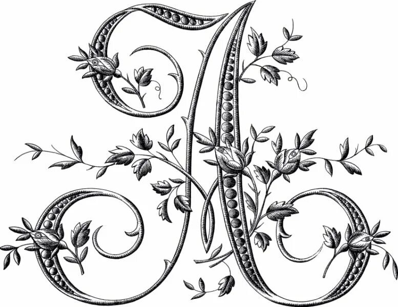 Заглавные буквицы древней руси инициалы. Буквица растительный орнамент. Растительный орнамент букв. Растительный орнамент букв. Буквица славянская буква б.