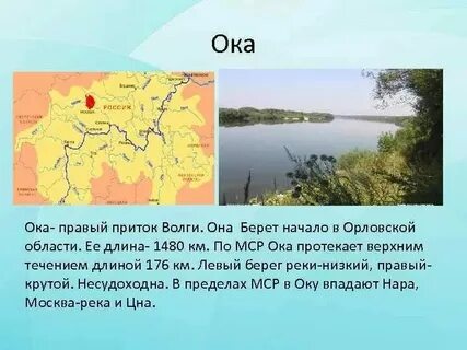 Река ока ее притоки