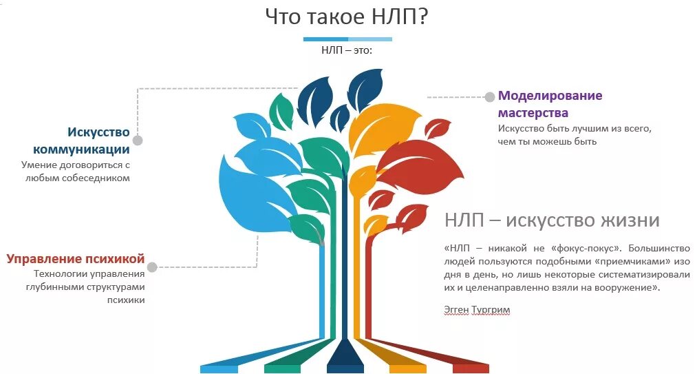 Нейрометодика. НЛП. Методика НЛП. Основные понятия НЛП. НЛП техники.