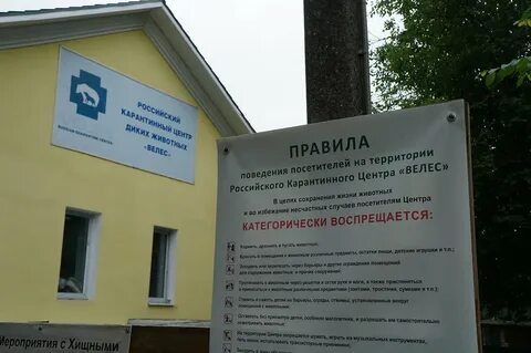 Центр велес