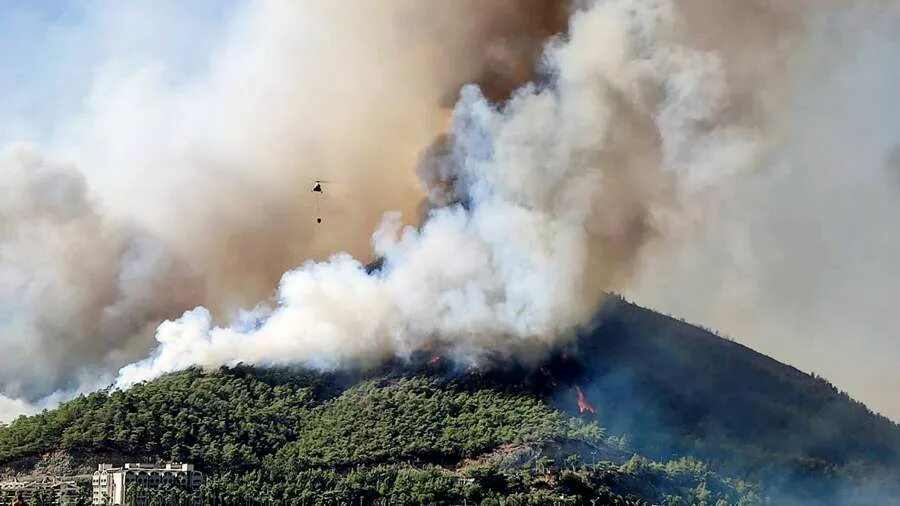 Человек на фоне огня. Пожар леса. Колорадо сгорел. Горящий город. Что где горит в мире.