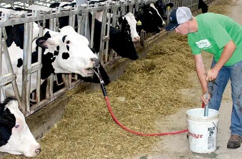 More milking