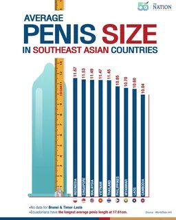 average male pens size - www.cmediya.ru.