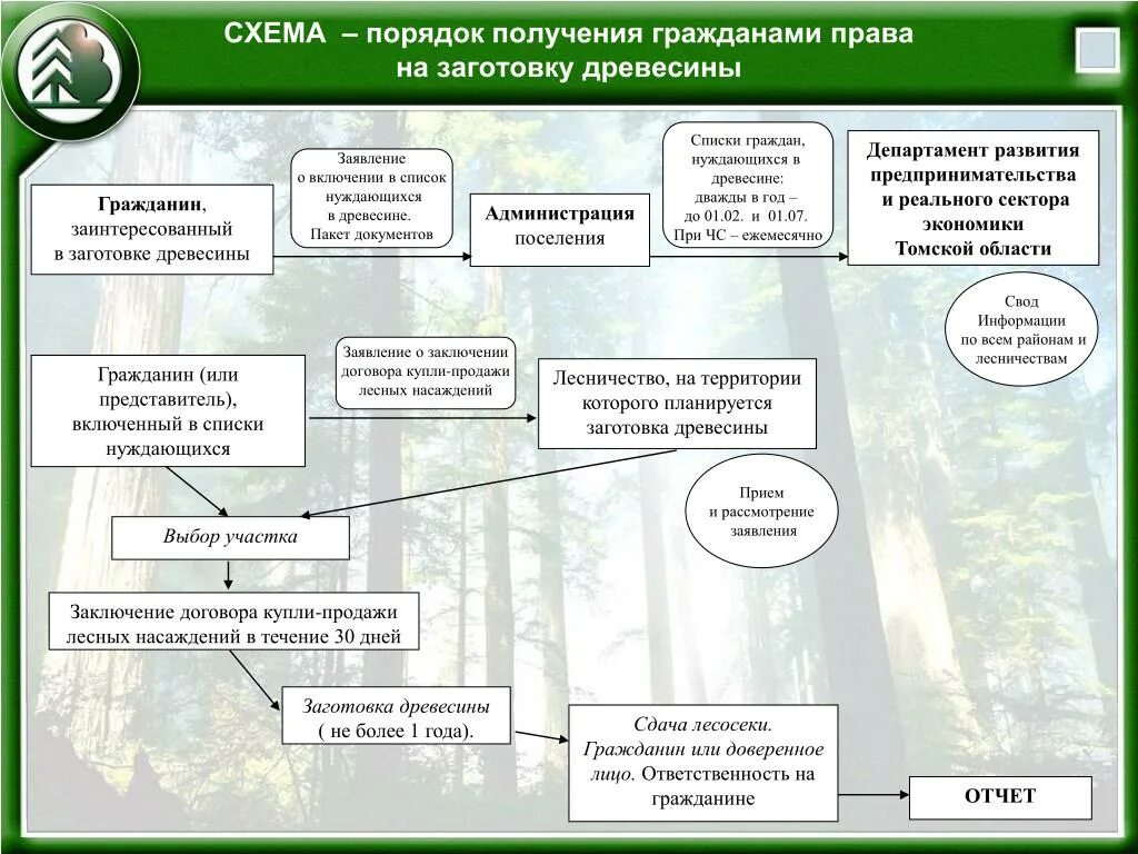 Предоставление в пользование лесных участков. Порядок заготовки древесины. Заготовка древесины для собственных нужд. Схема заготовки древесины. Порядок заготовки древесины для собственных нужд граждан.