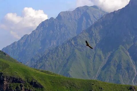 Мцыри кавказские горы