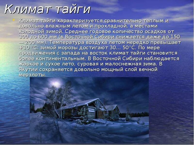 Средняя температура в тайге летом. Климат тайги зимой и летом. Климатические условия тайги. Название климата в тайге. Климат тайги в России.