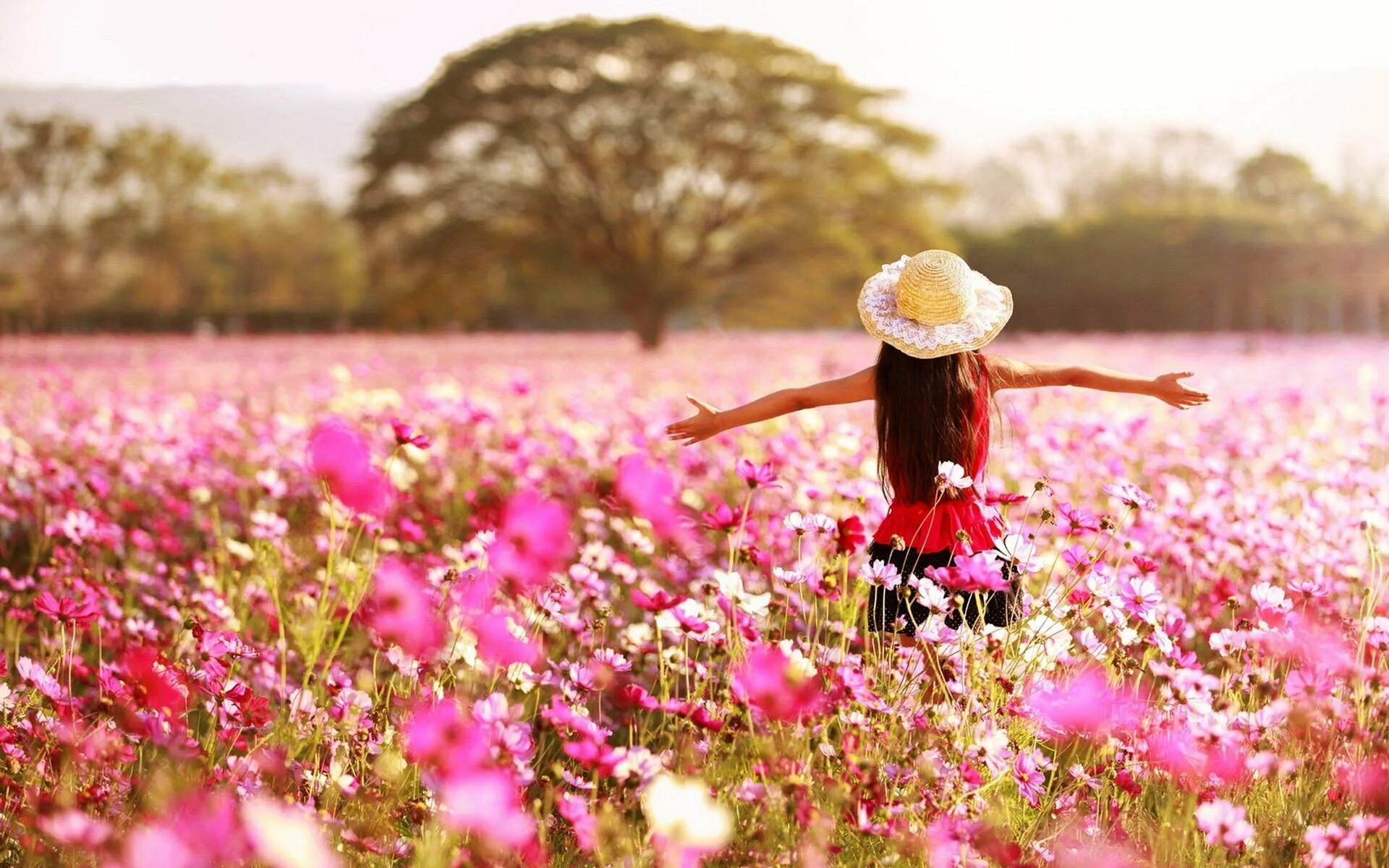 Девушка поле цветы. Счастливая девушка с цветами. Летние цветы. Лето красота. The color is beautiful