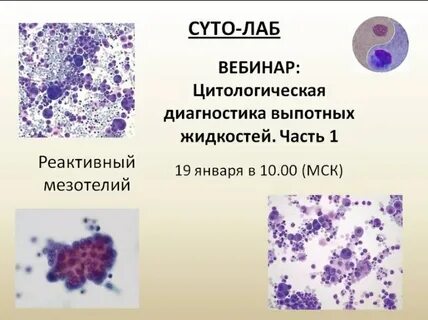 Цитология отзывы
