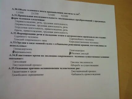Контрольная работа по биологии человек