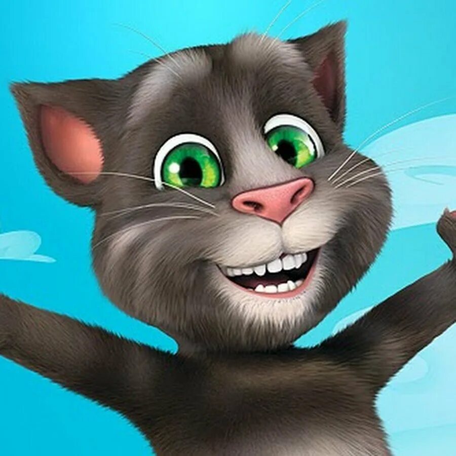 1 часть говорящего тома. Talking Tom. Talking Tom 1997. Talking Tom 2013. Talking Tom 2010.