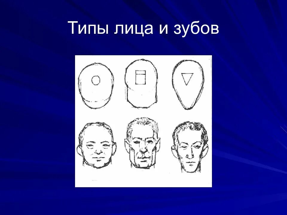 Лица организации. Формы лица в стоматологии. Типы лица в стоматологии. Укороченный Тип лица. Укороченный Тип лица в стоматологии.