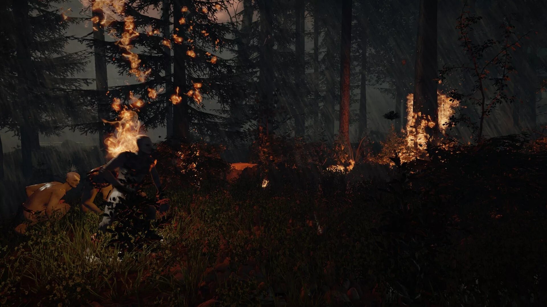 P forest