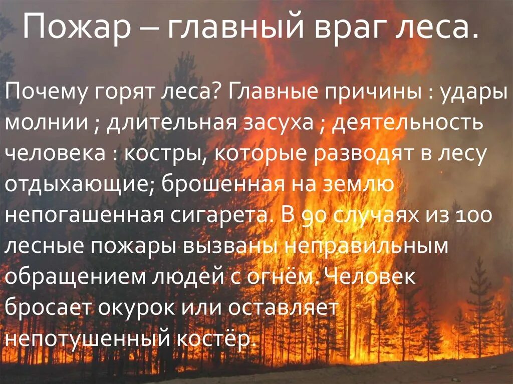 Горящем почему е. Почему горят леса. Лесные пожары проект. Пожар враг леса. Пожар главный враг леса.